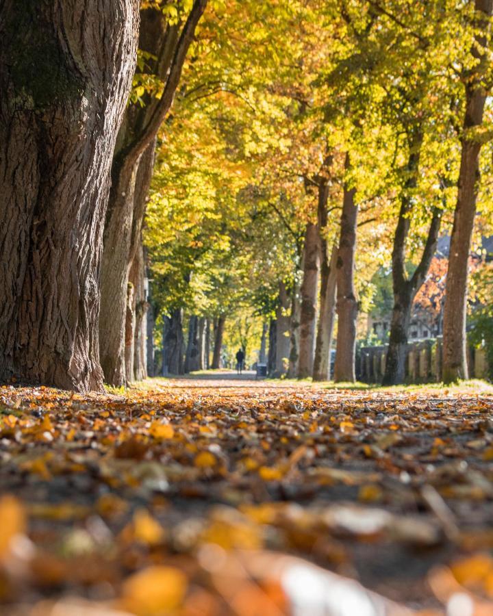 Laudensacks Parkhotel & Retreat Бад-Киссинген Экстерьер фото