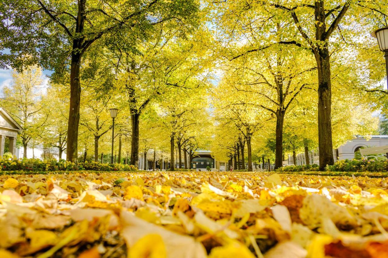 Laudensacks Parkhotel & Retreat Бад-Киссинген Экстерьер фото